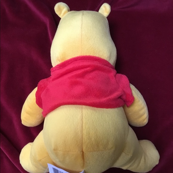12”Plush Winnie the Pooh, and Disney framed pictures. Sold together as a group. - Picture 4 of 13